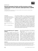 Tài liệu Báo cáo khoa học: Second messenger function and the structure–activity relationship of cyclic adenosine diphosphoribose (cADPR) doc