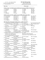 Tài liệu Đề Thi Thử Đại Học Khối A1, D Anh 2013 - Phần 2 - Đề 13 ppt