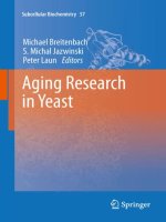 Tài liệu Aging Research in Yeast doc