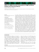 Tài liệu Báo cáo khoa học: Effect of siRNA terminal mismatches on TRBP and Dicer binding and silencing efﬁcacy pdf