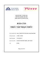 Báo cáo thực tập nhận thức Công ty TNHH TM- DV may mặc Trương Thanh Minh