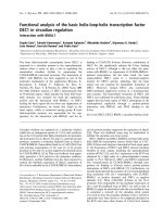 Tài liệu Báo cáo khoa học: Functional analysis of the basic helix-loop-helix transcription factor DEC1 in circadian regulation ppt
