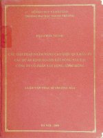 các giải pháp nhằm nâng cao hiệu quả đầu tư các dự án kinh doanh bất động sản tại công ty cổ phần xây dựng sông hồng
