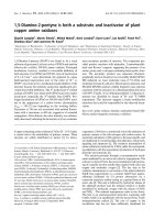 Tài liệu Báo cáo khoa học: 1,5-Diamino-2-pentyne is both a substrate and inactivator of plant copper amine oxidases ppt