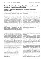 Tài liệu Báo cáo Y học: Toxicity of substrate-bound amyloid peptides on vascular smooth muscle cells is enhanced by homocysteine docx