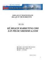 Tài liệu ĐỀ TÀI: KẾ HOẠCH MARKETING CHO SẢN PHẨM NHOMMUA.COM doc