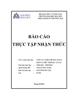 báo cáo thực tập nhận thức công ty tnhh thương mại và dịch vụ siêu thị big c an lạc