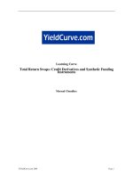 Tài liệu Learning Curve Total Return Swaps: Credit Derivatives and Synthetic Funding Instruments ppt