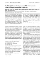 Tài liệu Báo cáo Y học: Novel bradykinins and their precursor cDNAs from European yellow-bellied toad (Bombina variegata) skin potx