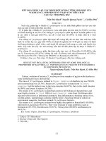 Tài liệu BÁO CÁO 