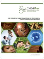 Tài liệu Male Reproductive Health Disorders and the Potential Role of Exposure to Environmental Chemicals pdf