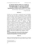 Tài liệu BÁO CÁO 