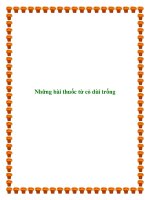 Tài liệu Những bài thuốc từ cỏ dùi trống ppt