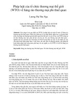 Pháp luật của tổ chức thương mại thế giới (WTO) về hàng rào thương mại phi thuế quan