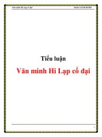 Tài liệu Tiểu luận:Văn minh Hy Lạp cổ đại potx