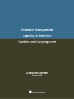 Tài liệu Volunteer Management Capacity in America’s Charities and Congregations ppt