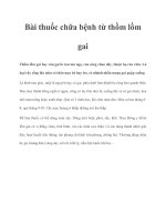 Tài liệu Bài thuốc chữa bệnh từ thồm lồm gai potx