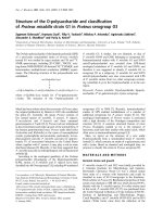 Tài liệu Báo cáo Y học: Structure of the O-polysaccharide and classiﬁcation of Proteus mirabilis strain G1 in Proteus serogroup O3 potx