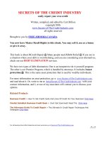 Tài liệu SECRETS OF THE CREDIT INDUSTRY pdf