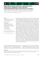 Tài liệu Báo cáo khoa học: High-afﬁnity ligand binding by wild-type/mutant heteromeric complexes of the mannose pptx