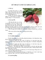 Tài liệu KỸ THUẬT CANH TÁC KHOAI LANG ppt