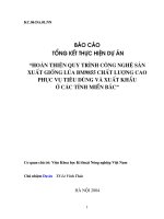 Tài liệu Hoàn thiện quy trình công nghệ sản xuất giống lúa BM9855 chất lượng cao phục vụ tiêu dùng và xuất khẩu ở các tỉnh miền Bắc pptx