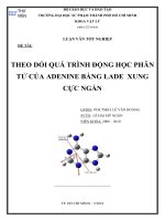 theo dỏi quá trình động học phân tử của adenine bằng lade xung cực ngắn