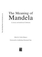 Tài liệu The Meaning of Mandela pdf