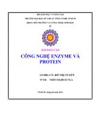 bài báo cáo công nghệ enzyme và protein