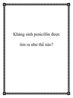 Tài liệu Kháng sinh penicillin được tìm ra như thế nào? pot