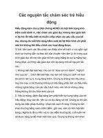 Tài liệu Các nguyên tắc chăm sóc trẻ hiếu động pptx