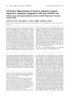 Tài liệu Báo cáo khoa học: Constitutive oligomerization of human D2 dopamine receptors expressed in Spodoptera frugiperda 9 (Sf9 ) and in HEK293 cells Analysis using co-immunoprecipitation and time-resolved ﬂuorescence resonance energy transfer pdf