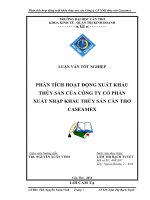 Phân tích hoạt động xuất khẩu thủy sản của Công ty CP XNK thủy sản Caseamex