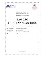 báo cáo thực tập nhận thức ban quản lý dự án các công trình điện miền nam