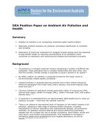 Tài liệu DEA Position Paper on Ambient Air Pollution and Health doc
