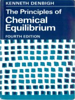 Tài liệu THE PRINCIPLES OF CHEMICAL EQUILIBRIUM doc