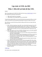 Tài liệu Lập trình với XML cho DB2 Phần 1: Hiểu biết mô hình dữ liệu XML potx