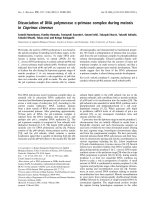 Tài liệu Báo cáo khoa học: Dissociation of DNA polymerase a-primase complex during meiosis in Coprinus cinereus pptx