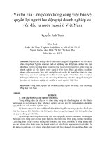 Vai trò của công đoàn trong công việc bảo vệ quyền lợi người lao động tại doanh nghiệp có vốn đầu tư nước ngoài ở việt nam