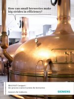 Tài liệu How can small breweries make big strides in efficiency? pptx