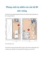 Tài liệu Phong cách tự nhiên của căn hộ 80 mét vuông docx