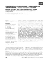 Tài liệu Báo cáo khoa học: Human enhancer of rudimentary is a molecular partner of PDIP46/SKAR, a protein interacting with DNA polymerase d and S6K1 and regulating cell growth docx