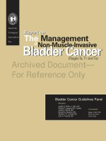 Tài liệu Report on The Management of Non-Muscle-Invasive Bladder Cancer ppt
