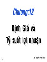 Tài liệu Định gía và tỷ suất lợi nhuận doc