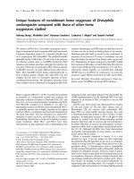 Tài liệu Báo cáo khoa học: Unique features of recombinant heme oxygenase of Drosophila melanogaster compared with those of other heme oxygenases studied docx