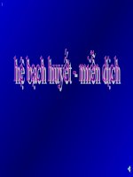 Tài liệu Hệ bạch huyết - miễn dịch docx