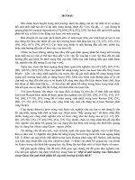 Luận án Một số ảnh hưởng của chùm laser xung Gauss lên quá trình phân bố của môi trường bị kích thích