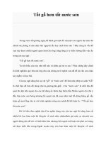 Tài liệu Tốt gỗ hơn tốt nước sơn pot