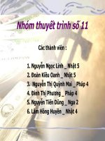 Tài liệu Tác động của cơ chế điều hành tỷ giá hối đoái tới hoạt động xuất khẩu của Việt Nam doc