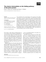 Tài liệu Báo cáo khoa học: The elusive intermediate on the folding pathway of the prion protein pptx